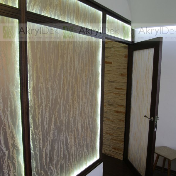 Transparent partition wall with rice in resin
